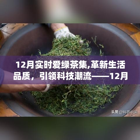 革新生活品质，引领科技潮流——智能绿茶机体验之旅，12月实时爱绿茶集活动回顾