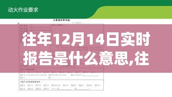 往年12月14日实时报告解析与制作指南，从概念到实践，一步步掌握任务要点