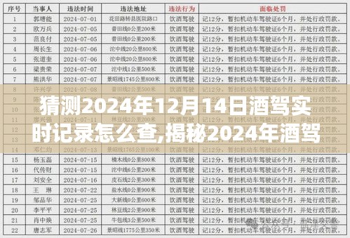 揭秘酒驾实时查询攻略，掌握酒驾信息，安全驾驶到2024年12月14日及以后