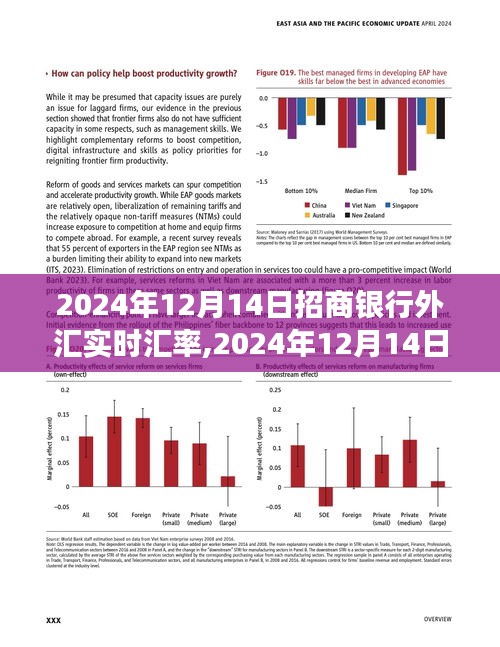 招商银行外汇实时汇率，洞悉金融市场的汇率波动（日期，XXXX年XX月XX日）