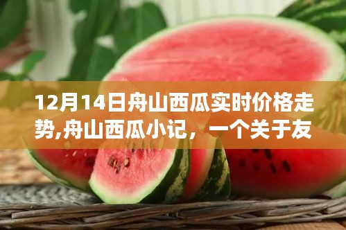 舟山西瓜实时价格走势背后的友情与日常温馨故事，舟山西瓜小记