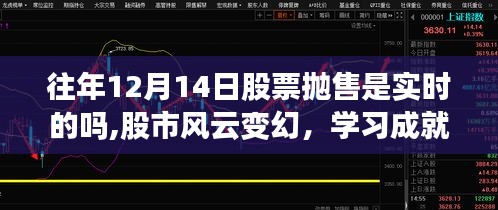 揭秘十二月十四日股票抛售真相，股市风云变幻与实时学习之路