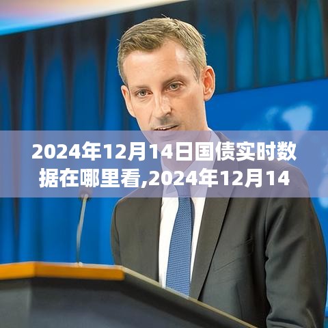 时代的金融印记，2024年12月14日国债实时数据洞察与查询渠道