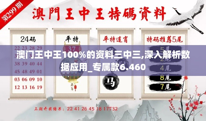 澳门王中王100%的资料三中三,深入解析数据应用_专属款6.460