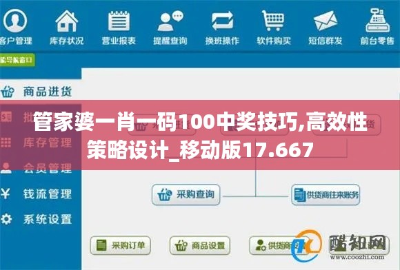 管家婆一肖一码100中奖技巧,高效性策略设计_移动版17.667