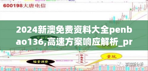 2024新澳免费资料大全penbao136,高速方案响应解析_pro9.376