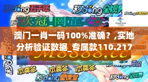 澳门一肖一码100%准确？,实地分析验证数据_专属款110.217