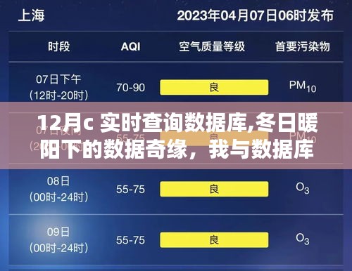 冬日暖阳下的数据库实时查询，我与数据的温馨日常