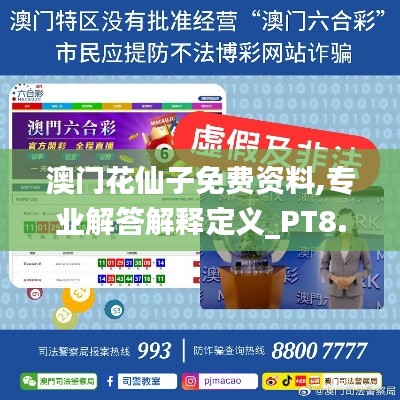 澳门花仙子免费资料,专业解答解释定义_PT8.598