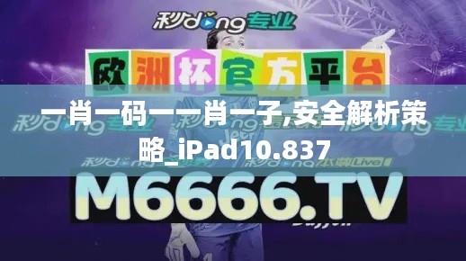 一肖一码一一肖一子,安全解析策略_iPad10.837