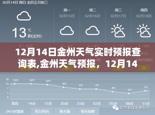 金州天气预报，最新实时更新，掌握天气变化