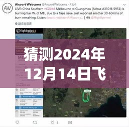 探秘小巷深处的明珠，2024年飞行安全实时预警系统展望与飞行安全预测分析揭秘