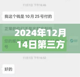 2024年第三方支付通道实时到账，优势与挑战并存