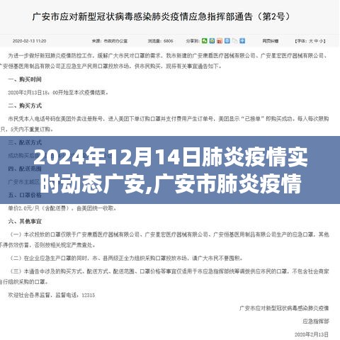 广安市肺炎疫情实时动态指南，初学者版（截至2024年12月14日）