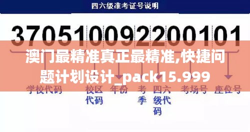 澳门最精准真正最精准,快捷问题计划设计_pack15.999