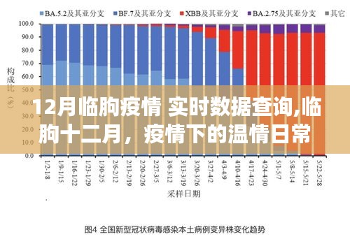 临朐十二月疫情实时数据与温情日常背后的故事