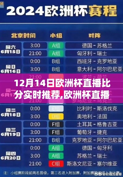 12月14日欧洲杯直播比分实时推荐指南，从初学者到进阶用户的全方位指南