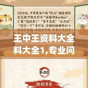 王中王资料大全料大全1,专业问题执行_MT10.284