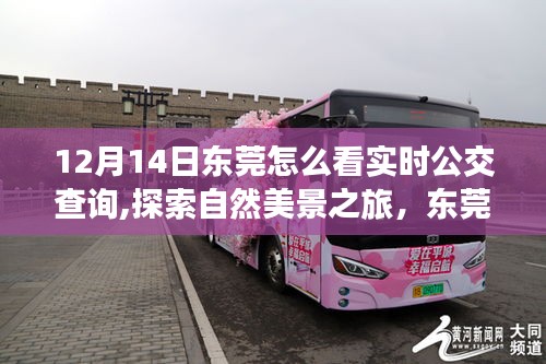 东莞公交实时查询与探索自然美景之旅，宁静与平和的心灵之旅