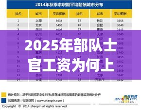 2025年部队士官工资为何上涨,创新设计执行_标准版7.774