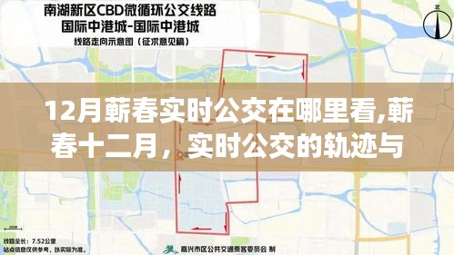 蕲春十二月实时公交轨迹，城市脉动中的公共交通服务