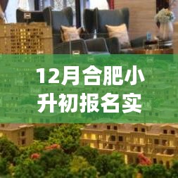 合肥小升初报名热潮，实时统计与深度解读