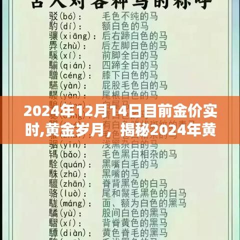 揭秘黄金岁月，黄金价格的波动与影响，2024年最新实时金价解析