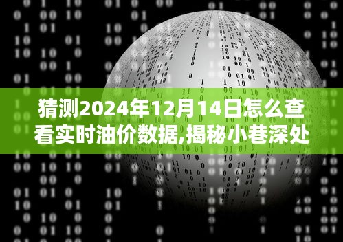 揭秘油价宝店，如何预测与查看2024年油价动态，实时油价数据轻松掌握！