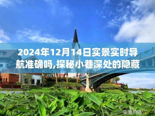 探秘小巷秘境，特色小店的实时导航之旅在2024年12月14日的准确性探讨