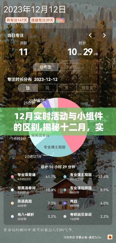 揭秘十二月实时活动与小组件差异，小红书全解析指南