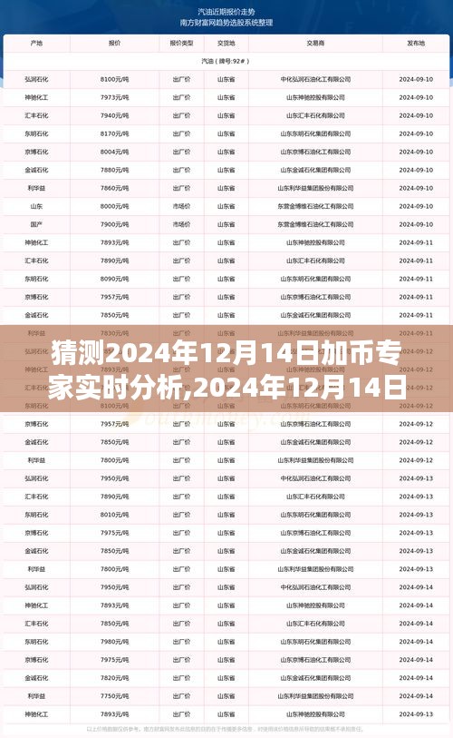 建议，，揭秘2024年12月14日加币走势，专家实时分析与预测