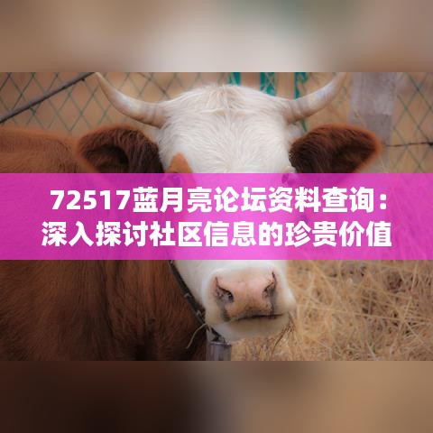 72517蓝月亮论坛资料查询：深入探讨社区信息的珍贵价值