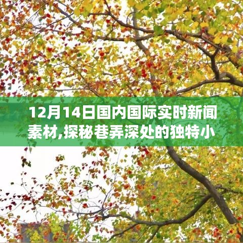 巷弄深处的独特小店，探寻小确幸与12月14日国内外新闻一览