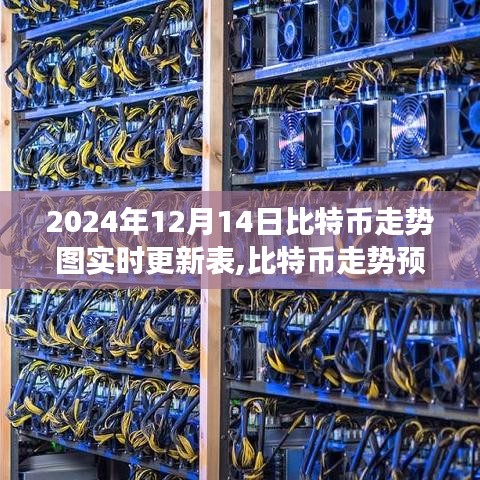 2024年比特币走势图实时更新及预测，聚焦波动与未来展望