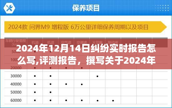 2024年纠纷实时报告全面介绍与评测，撰写指南及案例分析