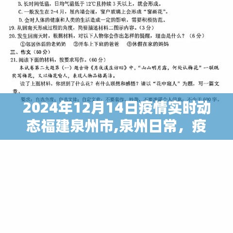 福建泉州市疫情下的温馨日常与友情闪耀（实时动态至2024年12月14日）