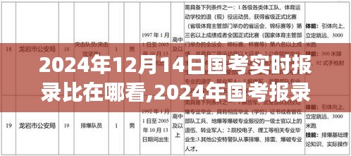 国考实时报录比在线查看指南，深度解读国考数据与个人见解