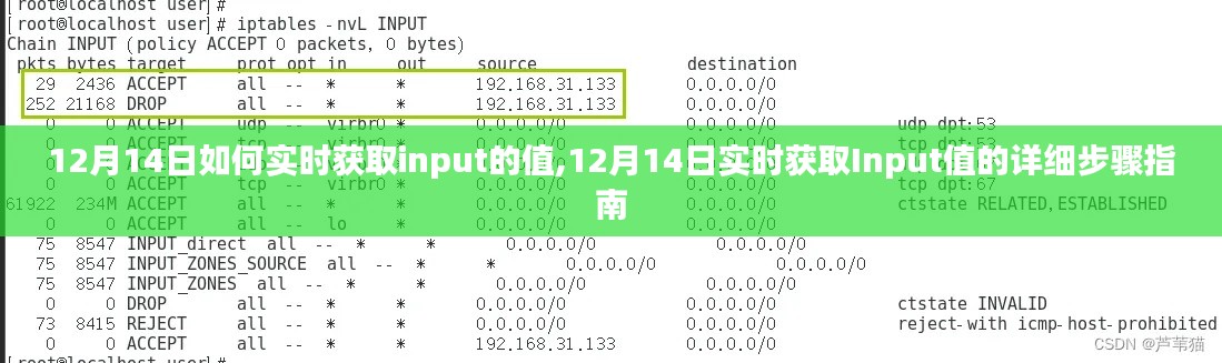 12月14日实时获取Input值的步骤详解