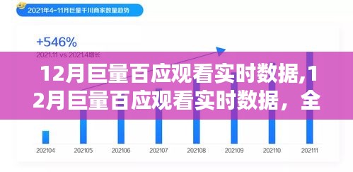 全面评测与深度介绍，12月巨量百应实时观看数据解析