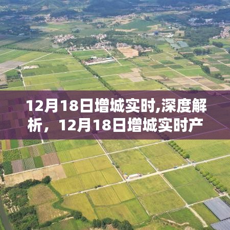 12月18日增城实时深度解析与产品评测报告