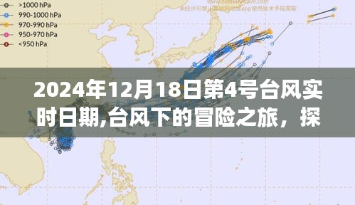 台风下的冒险之旅，探索自然美景，寻找内心宁静——第4号台风实时日期记录