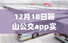 鞍山公交APP实时监控使用指南，初学者与进阶用户适用，12月18日更新