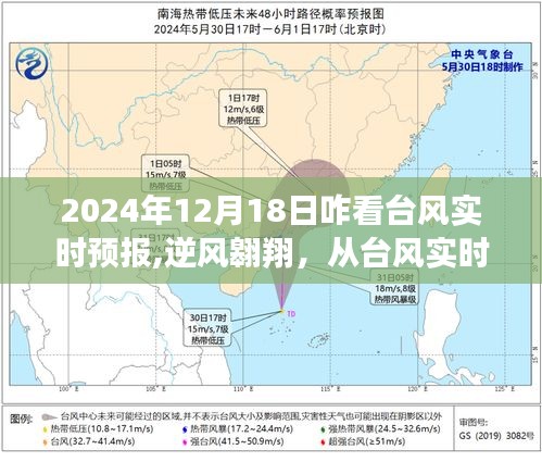 汲取成长力量，从台风实时预报看逆风翱翔之路（2024年12月18日）