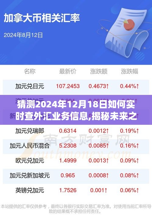 揭秘未来之旅，掌握外汇业务信息的秘诀与探寻内心宁静绿洲的指南（2024年12月18日实时查）