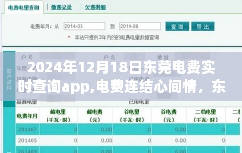 东莞电费实时查询app，连结心间情，家庭温馨故事在指尖流转