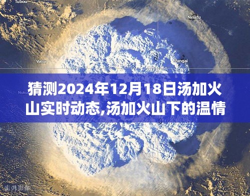 汤加火山下的温情日记，友情、爱与陪伴的温馨故事及实时动态预测（2024年12月18日）