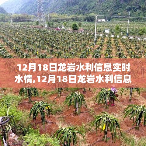 龙岩水利信息实时更新，洞悉水情动态，共筑水利安全防线