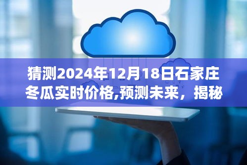 揭秘石家庄冬瓜价格走势，预测未来市场风向与2024年12月18日实时价格洞察