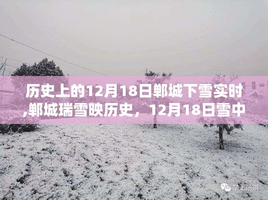 12月18日郸城瑞雪映历史，雪中印记的回顾与影响