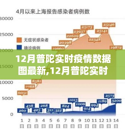 最新普陀疫情数据图，全面步骤指南与实时更新